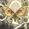Butterfly Song I - 24 X 24"