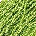Czech Seed Beads Size 11/0