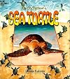 The Life Cycle of a Sea Turtle (The Life Cycle Series)