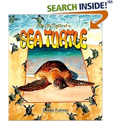 The Life Cycle of a Sea Turtle (The Life Cycle)