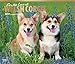 For the Love of Welsh Corgis, 2017 Calendar (English, French and Spanish Edition)