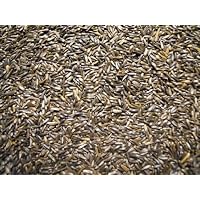 Thistle/Niger Seed