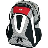 Swiss Gear Bern Midsized Hiking Pack (Grey/Black/Red/White)