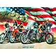Sturgis 1000pc Jigsaw Puzzle by Dan Hatala