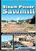 Steam-Power Sawmill