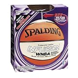 WNBA Infusion Basketball