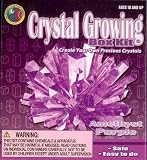 Crystal Growing - Complete Science Kit - Amethyst Purple