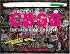 CBGB: Decades of Graffiti