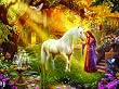 The Secret Garden 1000pc Jigsaw Puzzle by Jan Patrik Krasny
