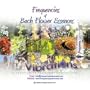 Frequencies of Bach Flower Essences