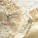 Modekini Women's Long Sleeves Sheer Floral Lace Pearl Cover Up Shrug