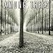 Among Trees 2012 Wall (calendar)