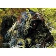 Ultra Light Ghillie Camouflage Kit