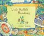 Little Rabbit Runaway