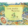 Little Rabbit Runaway