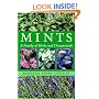 Mints: A Family of Herbs and Ornamentals