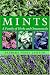 Search : Mints: A Family of Herbs and Ornamentals