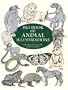 Big Book of Animal Illustrations (Dover Pictorial Archive)