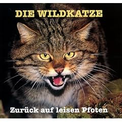 Die Wildkatze: Zur�ck auf leisen Pfoten