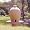 Beehive Bird Seed Feeder - Handthrown Stoneware Pottery, Butternut Color