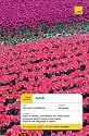 Complete Dutch Book/CD Pack (Teach Yourself Languages)