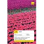 Complete Dutch Book/CD Pack (Teach Yourself Languages)