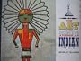 The Art of the North American Indian