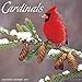 Cardinals 2017 Wall Calendar