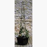 Gardman USA R503 Mini Pot Obelisk