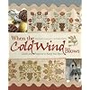 When the Cold Wind Blows: Quilts and Projects to Keep You Warm