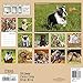 Puppies Wall Calendar (2016)