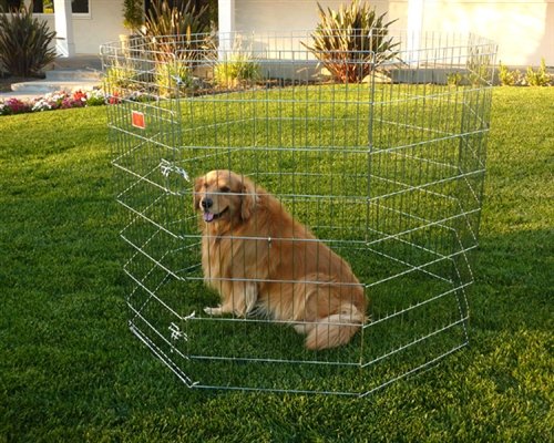 Majestic Pet 36-Inch Exercise Kennel Pen for Pets, Medium