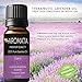 Organic 100% Pure Lavender (lavandula angustifolia) Bulgarian Essential Oil by AROMATA -- Enjoy the soothing, therapeutic health benefits of this premium-quality, undiluted, therapeutic-grade lavender oil and buy with confidence thanks to our 100% money-back guarantee. (15ml)