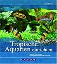 Tropische Aquarien einrichten: In zwölf Wochen zum gelungenen Gesellschaftsaquarium