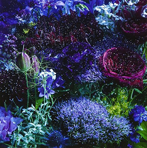 あなたに出会わなければ～夏雪冬花～/星屑ビーナス Aimer