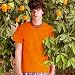 Bild: T-Shirt Super Premium von Fruit of the Loom S M L XL XXL 3XL verschiedene Farben