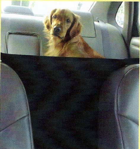 Barrier Front Seat Safety 24