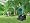Bosch AXT 2200 HP Silent Garden Shredder