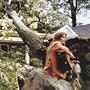 Sound of a Tree Falling