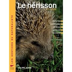 Le h�risson d'Europe