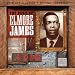 Best of Elmore James