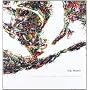 Vik muniz (cat.exposicion) (esp-ing-gal) de VIK MUNIZ