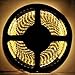 HitLights Warm White Double Density 600 LEDs Flexible Light Strip, 3528 Type SMD, 5 Meter or 16.4 Ft, 12 Volt, 48 Watt