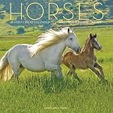 HORSES 2010 CALENDAR