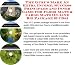 The Mega How To Earn Extra Money, Marketing and Success Principles for Floor Mats & C...
