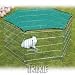 Rabbit Enclosure with Net