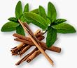 cinna-mint tea