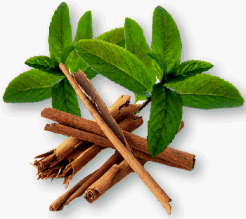 cinna-mint tea by Cinnamon Tea