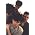 Vignette de The Jesus and Mary Chain