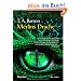 Merlins Drache I: Roman